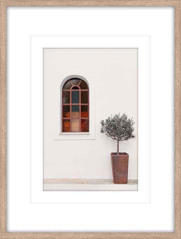 Olive Tree Glass Framed Print