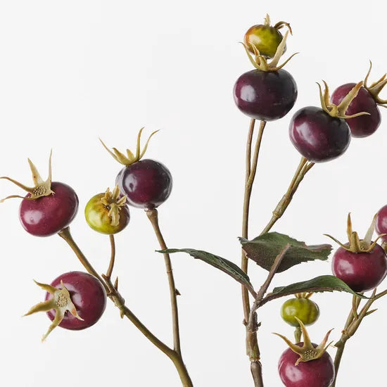 Rosehip Spray