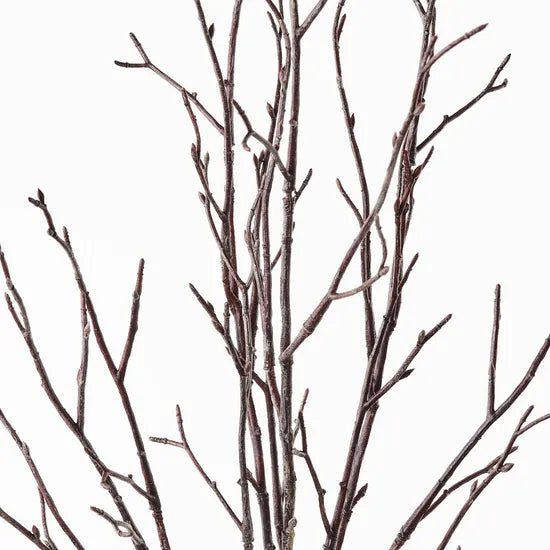 Twig Bundle