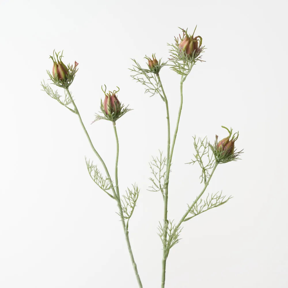 Love in a Mist Spray