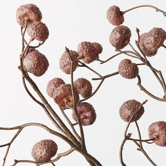 Lychee Spray