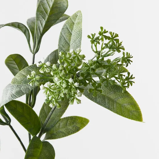 Tea Spray