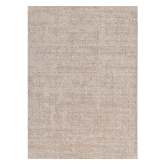 Arizona Camel | 160x230