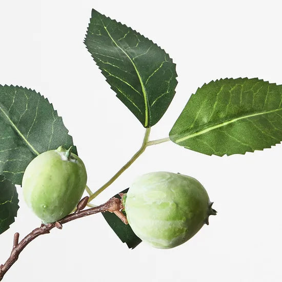 Camellia Fruit Spray