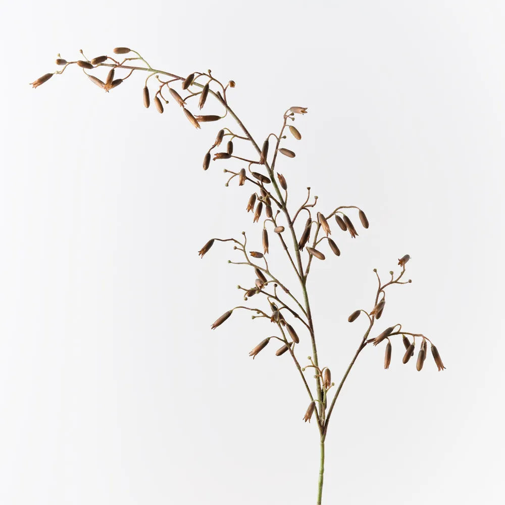 Magic Bells Spray | 165cm