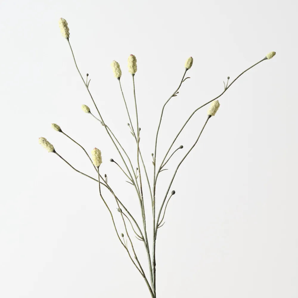 Burnet Spray