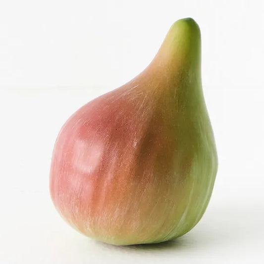 Fruit Fig