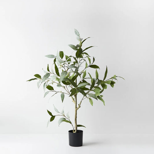 Eucalyptus Tree - 90cm