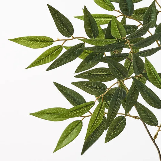 Ruscus Leaf Spray