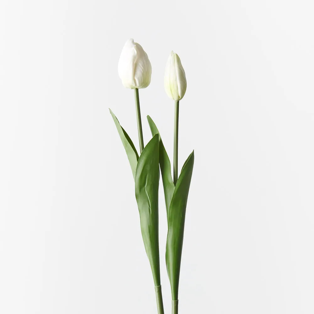 Tulip Bud & Bloom (set/2)